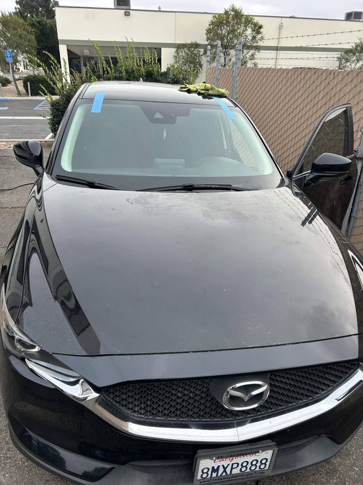 Windshield after replacement — clean, undamaged glass